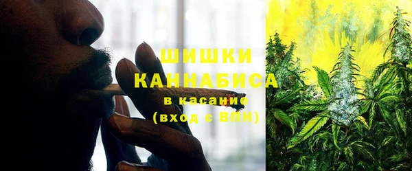 шишки Киренск
